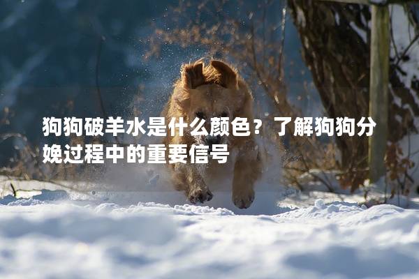 狗狗破羊水是什么颜色？了解狗狗分娩过程中的重要信号