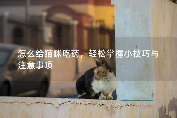 怎么给猫咪吃药，轻松掌握小技巧与注意事项