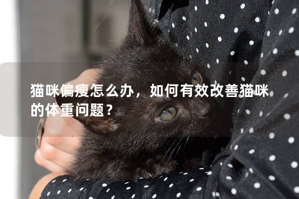 猫咪偏瘦怎么办，如何有效改善猫咪的体重问题？