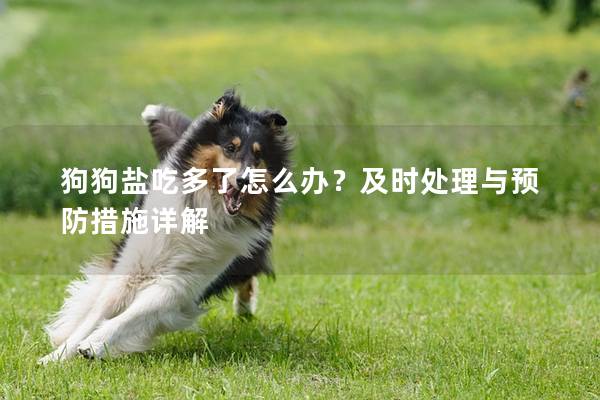 狗狗盐吃多了怎么办？及时处理与预防措施详解