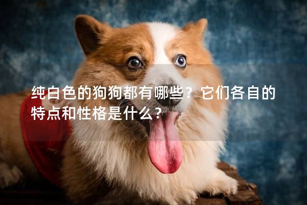 纯白色的狗狗都有哪些？它们各自的特点和性格是什么？