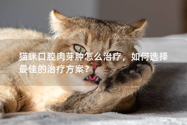 猫咪口腔肉芽肿怎么治疗，如何选择最佳的治疗方案？