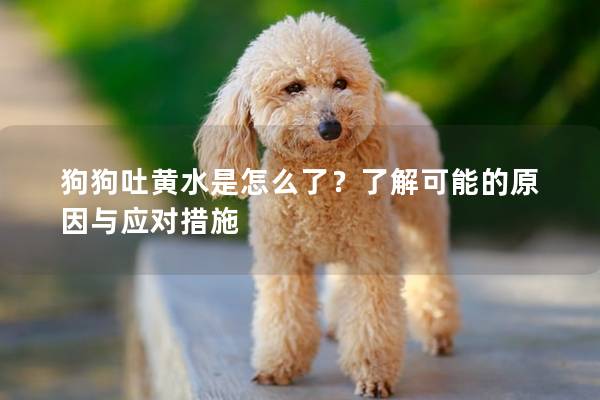 狗狗吐黄水是怎么了？了解可能的原因与应对措施