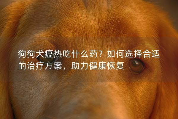 狗狗犬瘟热吃什么药？如何选择合适的治疗方案，助力健康恢复