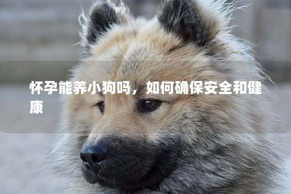 怀孕能养小狗吗，如何确保安全和健康