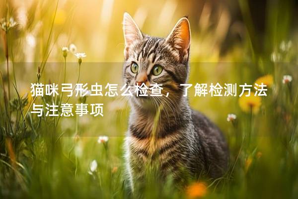 猫咪弓形虫怎么检查，了解检测方法与注意事项