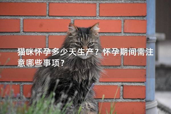 猫咪怀孕多少天生产？怀孕期间需注意哪些事项？