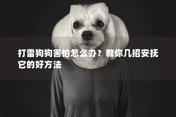 打雷狗狗害怕怎么办？教你几招安抚它的好方法