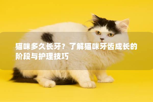 猫咪多久长牙？了解猫咪牙齿成长的阶段与护理技巧