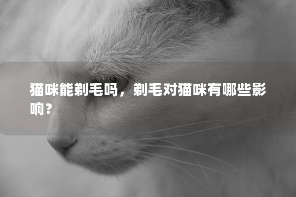 猫咪能剃毛吗，剃毛对猫咪有哪些影响？