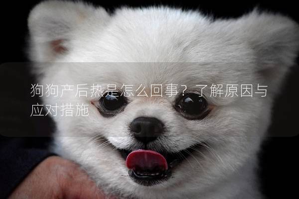 狗狗产后热是怎么回事？了解原因与应对措施