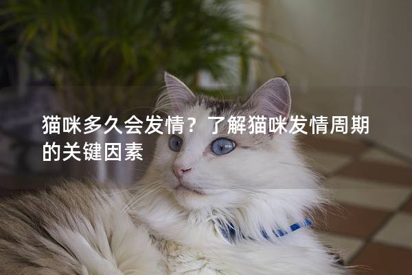 猫咪多久会发情？了解猫咪发情周期的关键因素