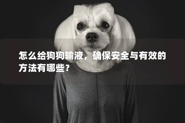 怎么给狗狗输液，确保安全与有效的方法有哪些？