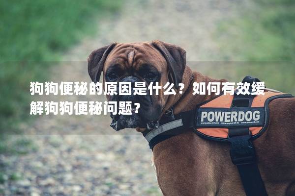 狗狗便秘的原因是什么？如何有效缓解狗狗便秘问题？