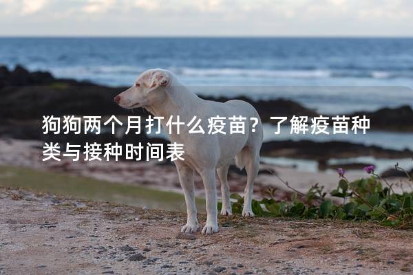 狗狗两个月打什么疫苗？了解疫苗种类与接种时间表