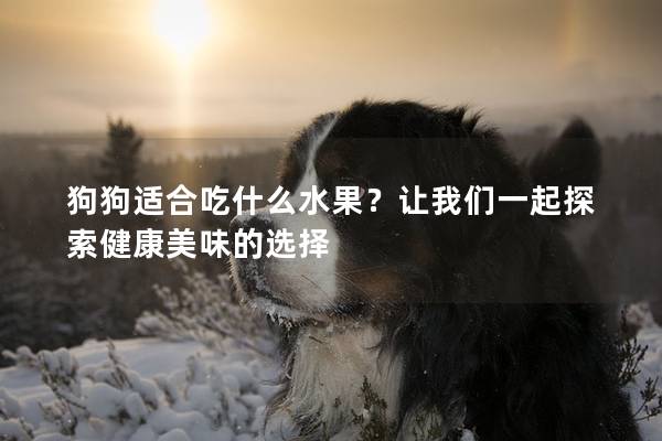 狗狗适合吃什么水果?让我们一起探索健康美味的选择