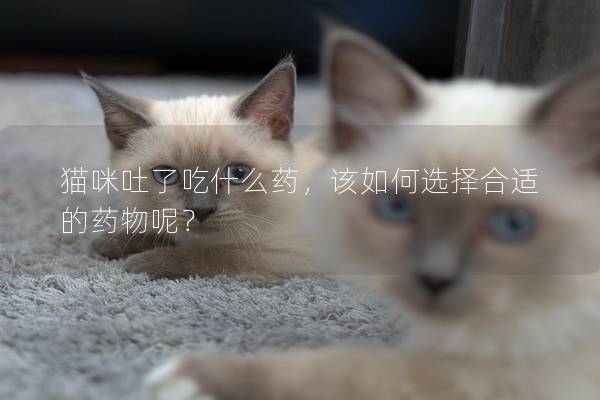 猫咪吐了吃什么药，该如何选择合适的药物呢？