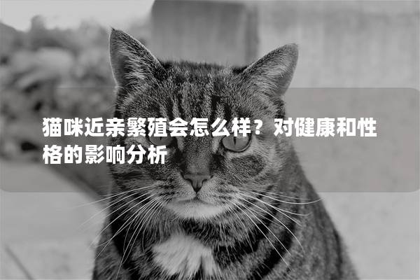 猫咪近亲繁殖会怎么样？对健康和性格的影响分析