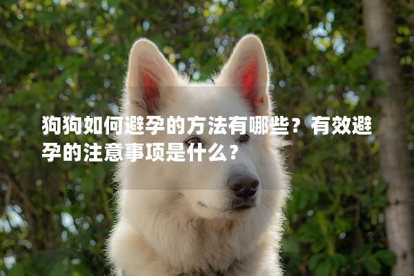 狗狗如何避孕的方法有哪些？有效避孕的注意事项是什么？