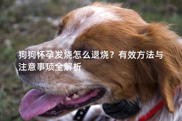 狗狗怀孕发烧怎么退烧？有效方法与注意事项全解析