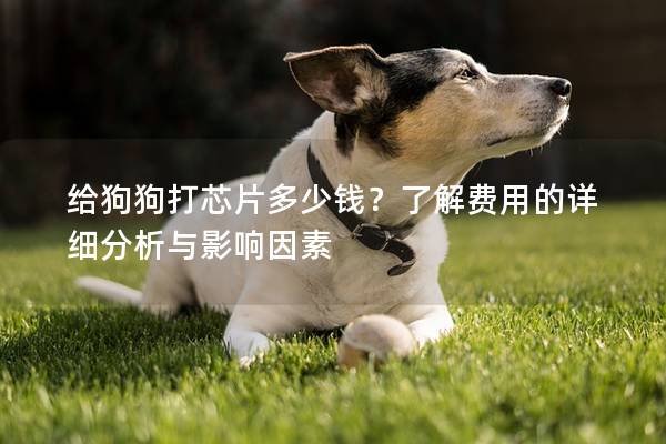 给狗狗打芯片多少钱？了解费用的详细分析与影响因素