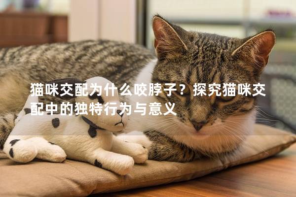 猫咪交配为什么咬脖子？探究猫咪交配中的独特行为与意义