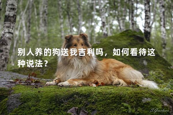 别人养的狗送我吉利吗，如何看待这种说法？