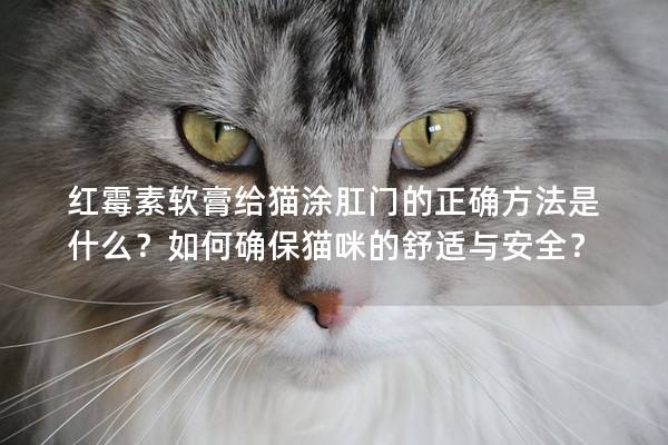 红霉素软膏给猫涂肛门的正确方法是什么？如何确保猫咪的舒适与安全？