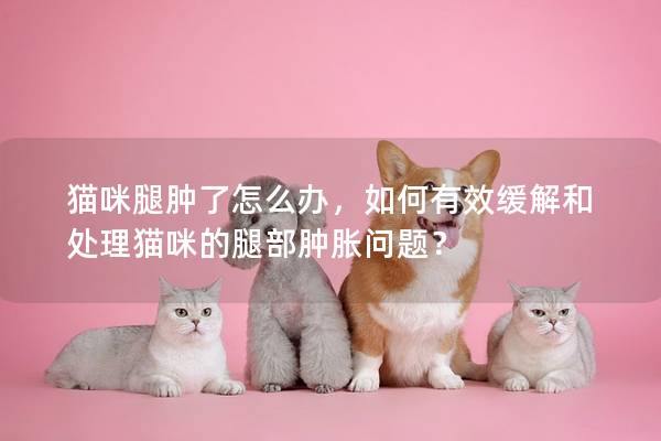 猫咪腿肿了怎么办，如何有效缓解和处理猫咪的腿部肿胀问题？