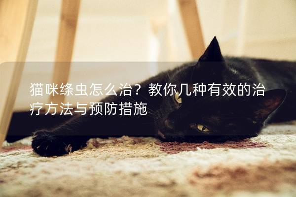 猫咪绦虫怎么治？教你几种有效的治疗方法与预防措施