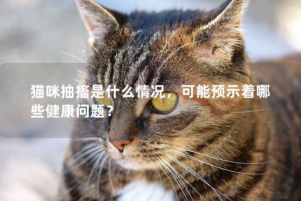 猫咪抽搐是什么情况，可能预示着哪些健康问题？