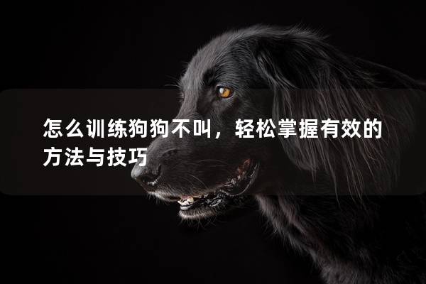 怎么训练狗狗不叫，轻松掌握有效的方法与技巧