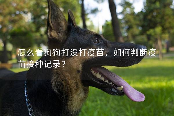 怎么看狗狗打没打疫苗，如何判断疫苗接种记录？