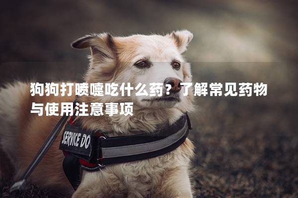 狗狗打喷嚏吃什么药？了解常见药物与使用注意事项