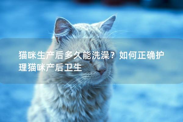 猫咪生产后多久能洗澡？如何正确护理猫咪产后卫生