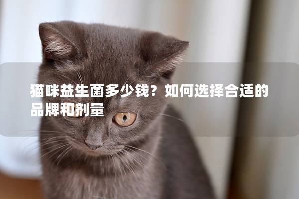 猫咪益生菌多少钱？如何选择合适的品牌和剂量