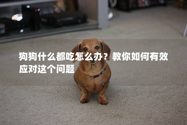 狗狗什么都吃怎么办？教你如何有效应对这个问题