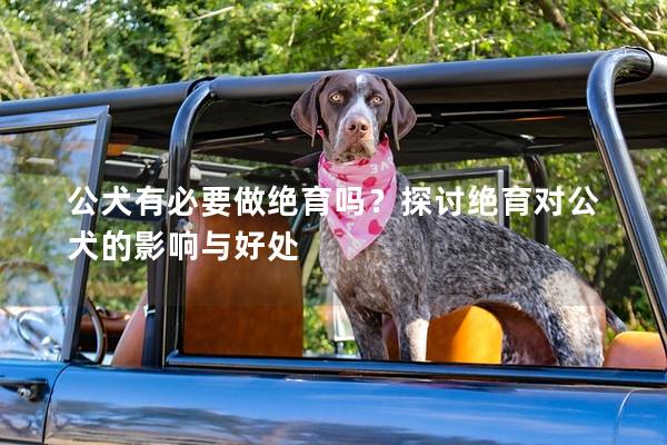 公犬有必要做绝育吗？探讨绝育对公犬的影响与好处