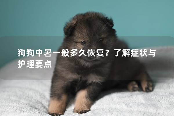 狗狗中暑一般多久恢复？了解症状与护理要点