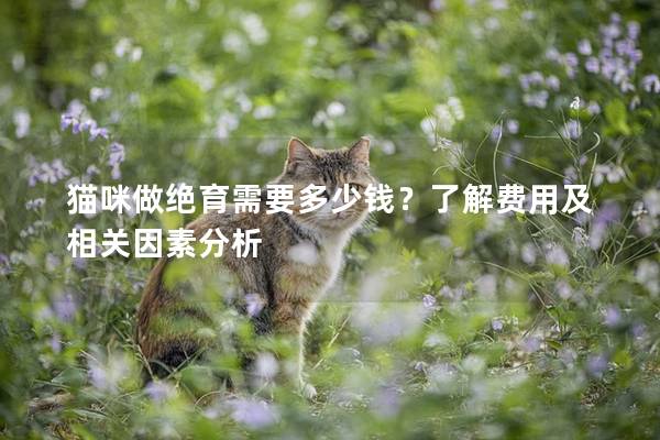 猫咪做绝育需要多少钱？了解费用及相关因素分析