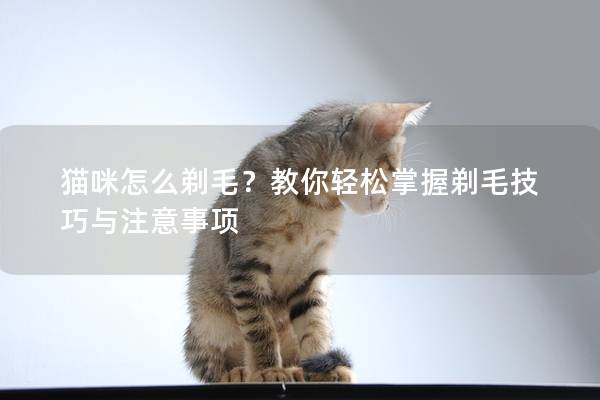 猫咪怎么剃毛？教你轻松掌握剃毛技巧与注意事项