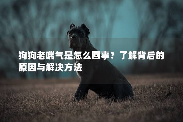 狗狗老喘气是怎么回事？了解背后的原因与解决方法