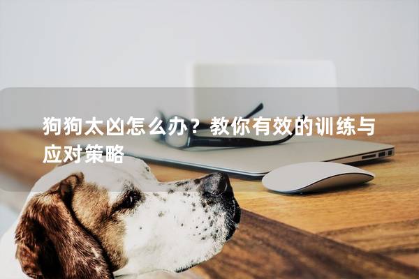 狗狗太凶怎么办？教你有效的训练与应对策略