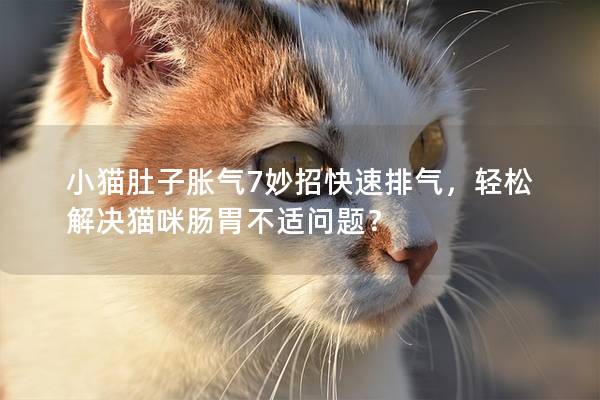 小猫肚子胀气7妙招快速排气，轻松解决猫咪肠胃不适问题？