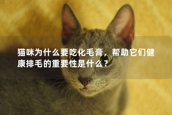 猫咪为什么要吃化毛膏，帮助它们健康排毛的重要性是什么？