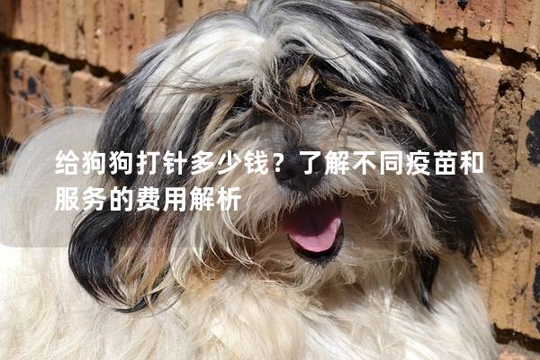 给狗狗打针多少钱？了解不同疫苗和服务的费用解析