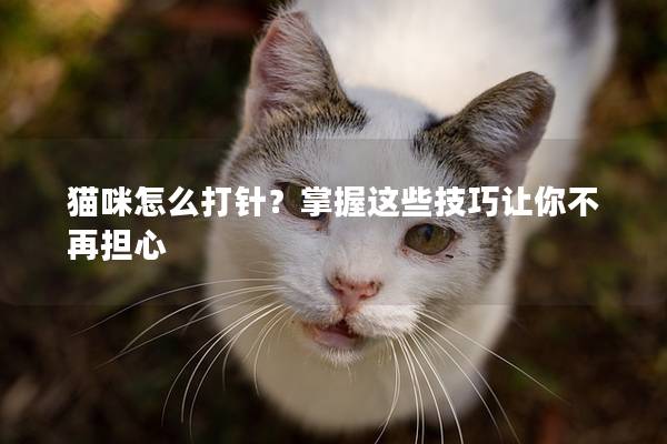 猫咪怎么打针？掌握这些技巧让你不再担心