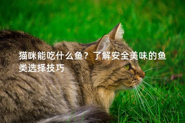 猫咪能吃什么鱼？了解安全美味的鱼类选择技巧