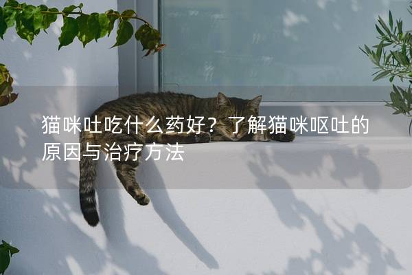 猫咪吐吃什么药好?了解猫咪呕吐的原因与治疗方法