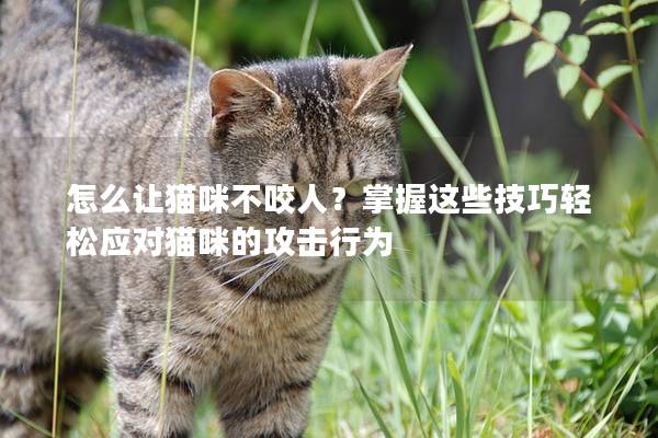 怎么让猫咪不咬人？掌握这些技巧轻松应对猫咪的攻击行为